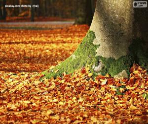 пазл Осенние листья на земле